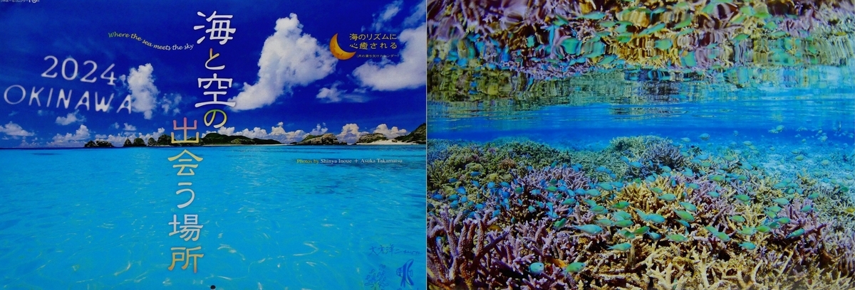 うみまーるカレンダー2024 - 大方洋二の魚って不思議！