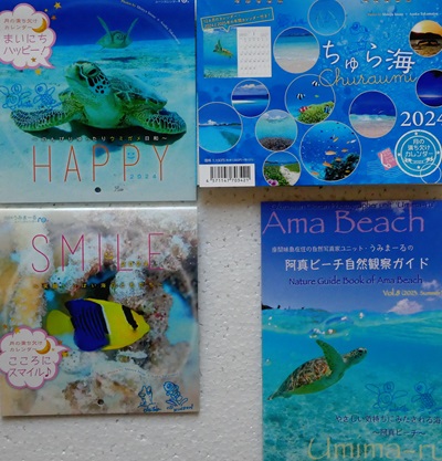 うみまーるカレンダー2024 - 大方洋二の魚って不思議！