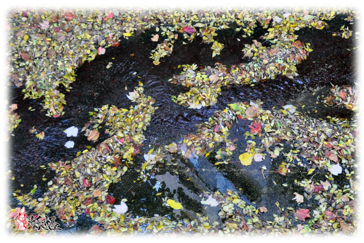 f:id:youkaidaimaou:20201122153241j:plain