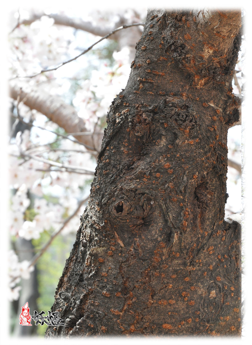 f:id:youkaidaimaou:20210331202633j:plain