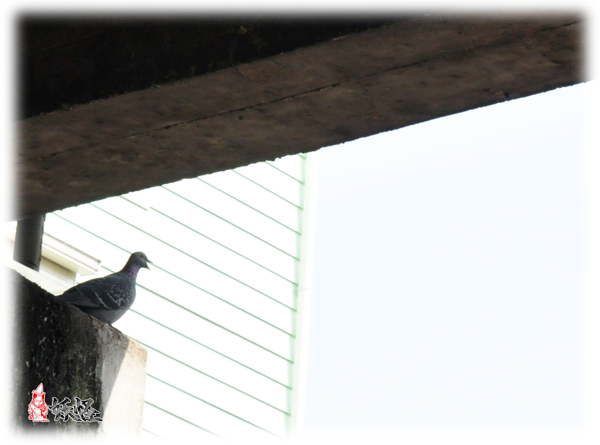 f:id:youkaidaimaou:20210406215418j:plain