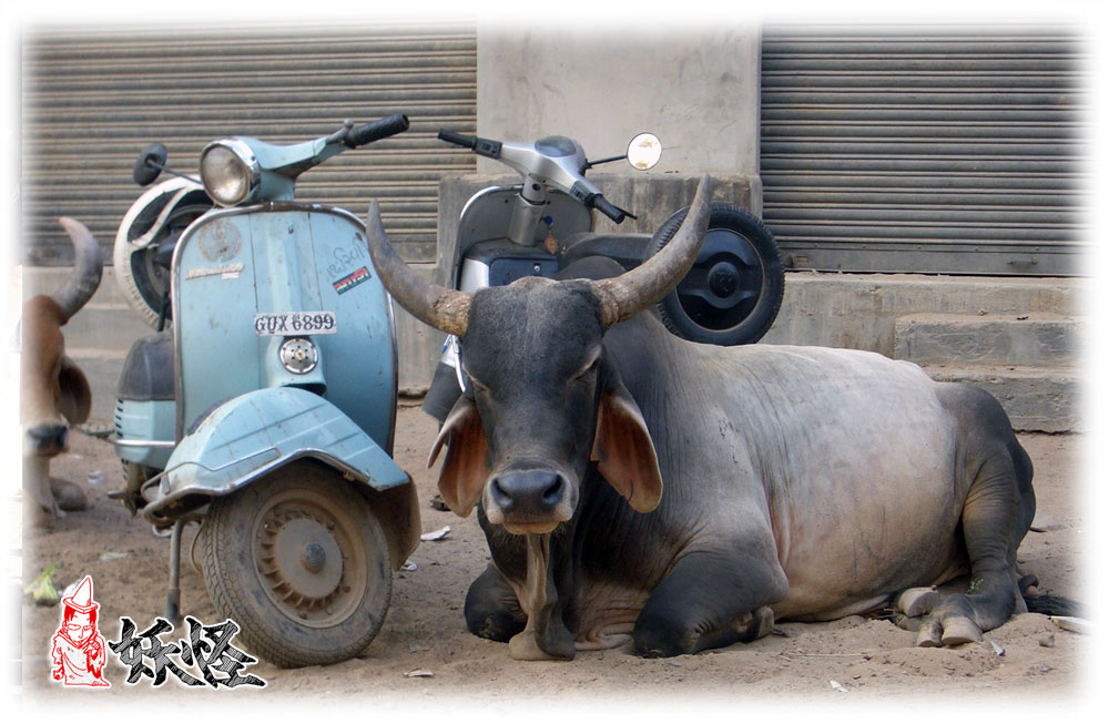 f:id:youkaidaimaou:20210903001148j:plain