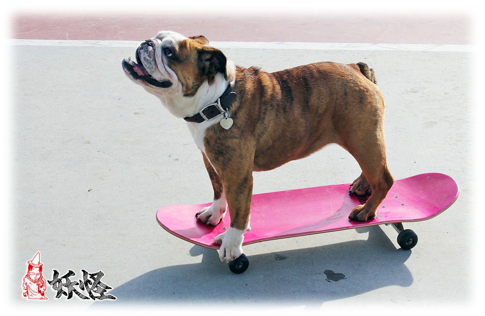 f:id:youkaidaimaou:20210904165721j:plain