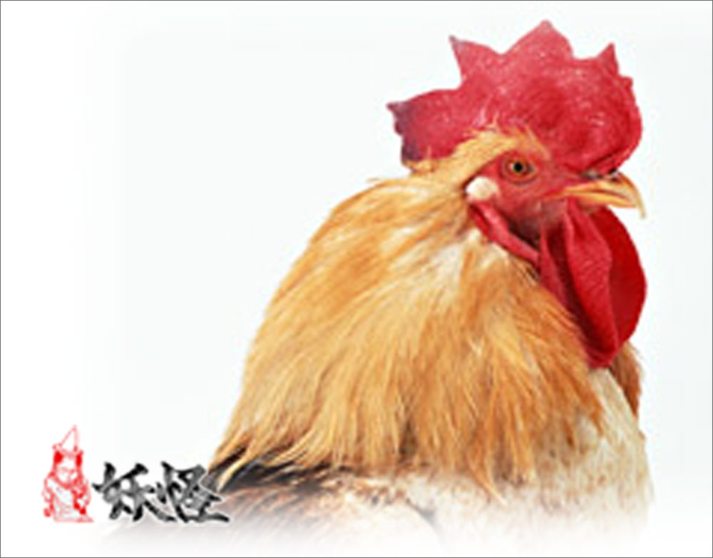 f:id:youkaidaimaou:20211008063843j:plain