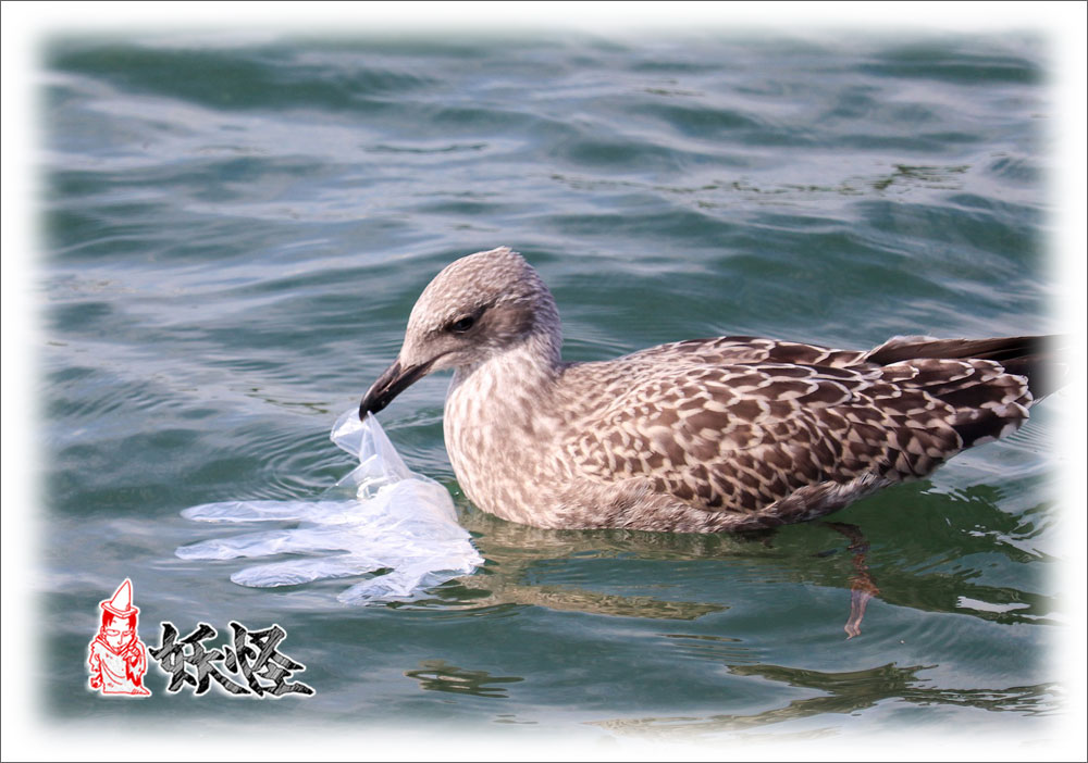 f:id:youkaidaimaou:20211008063903j:plain