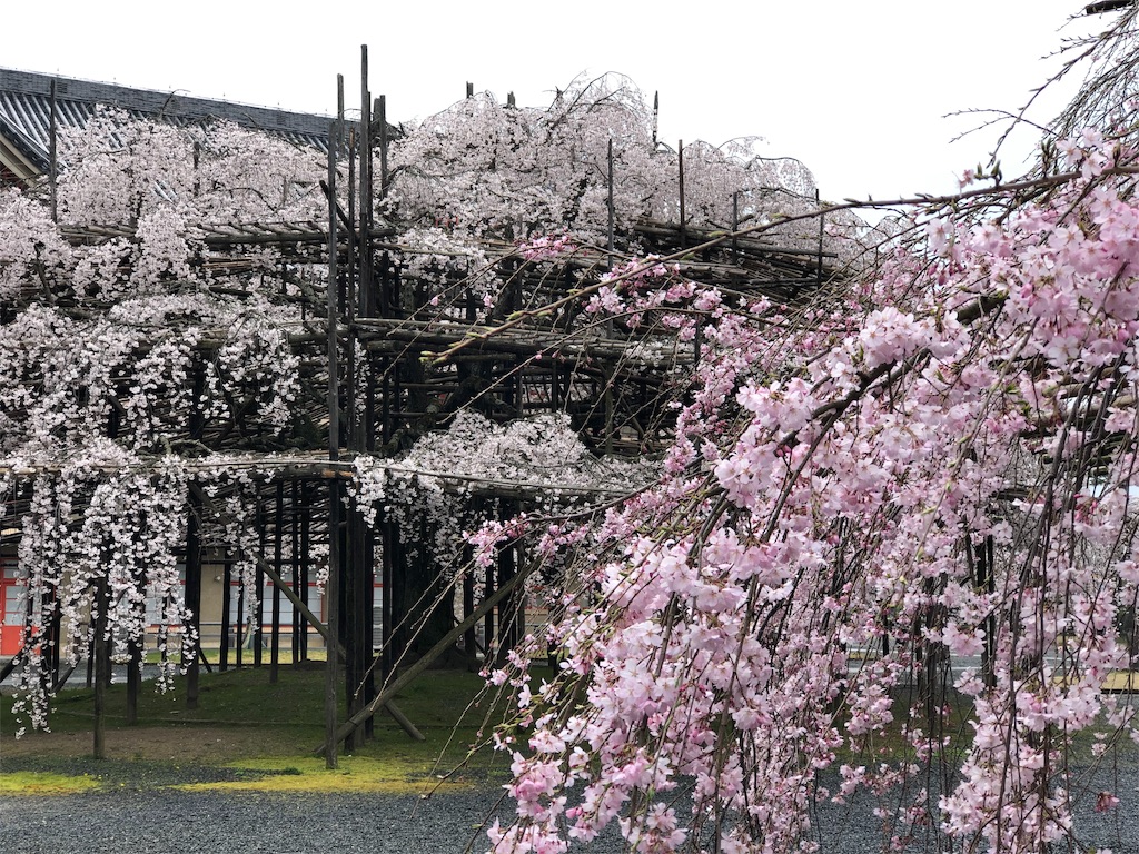f:id:youkimame:20190415224439j:image