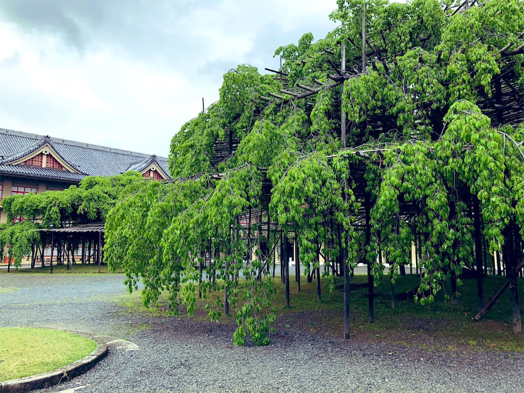 f:id:youkimame:20190520232109j:image