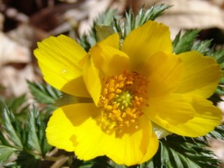 f:id:youko510:20050528141129j:image