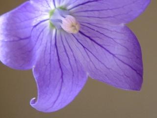 f:id:youko510:20050729100427j:image