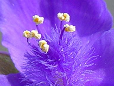 f:id:youko510:20070514100026j:image