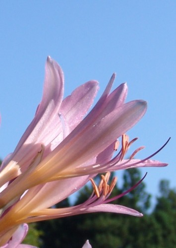 f:id:youko510:20130829074856j:image