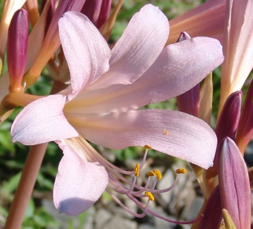 f:id:youko510:20130829075233j:image