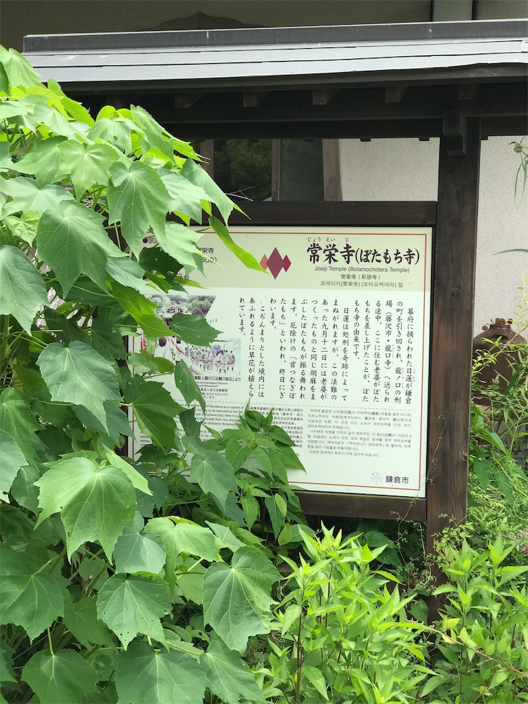 f:id:youkomax:20170701203334j:image f:id:youkomax:20170701203334j:image