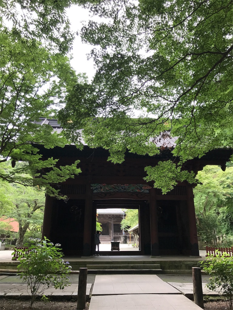 f:id:youkomax:20170701204132j:image f:id:youkomax:20170701204132j:image
