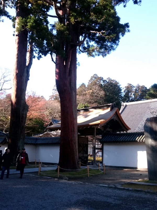 f:id:youkorori:20171213061702j:plain f:id:youkorori:20171213061702j:plain