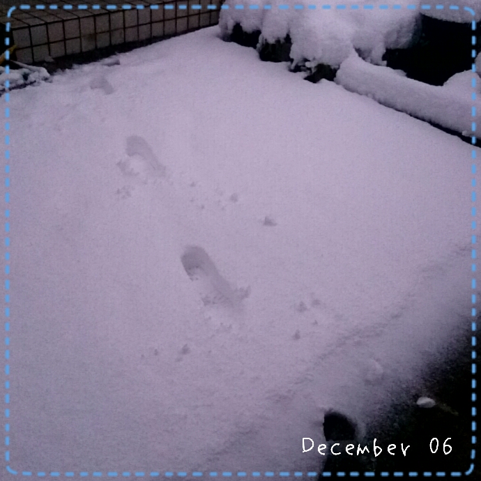 f:id:youkorori:20171213061952j:plain f:id:youkorori:20171213061952j:plain