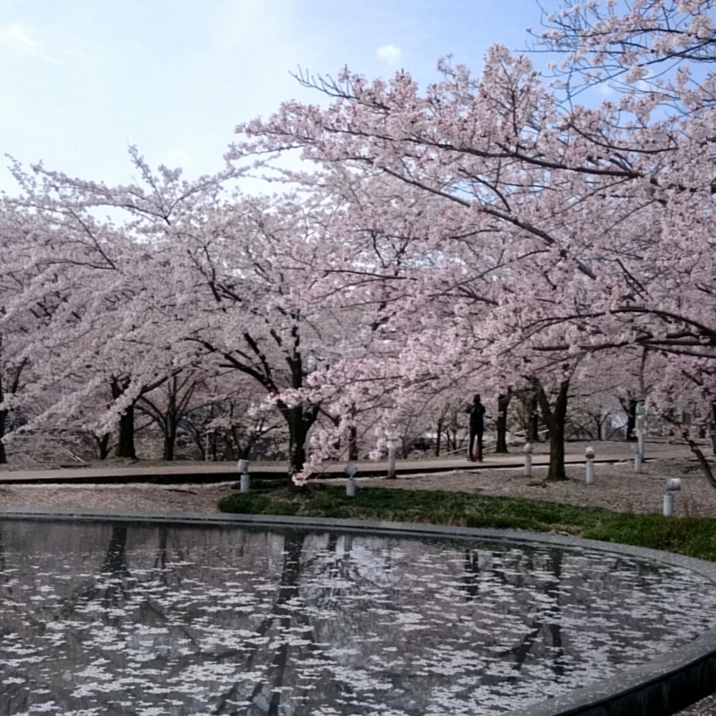 f:id:youkorori:20180412212737j:plain f:id:youkorori:20180412212737j:plain