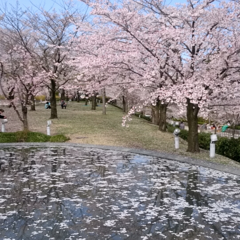 f:id:youkorori:20180412212741j:plain f:id:youkorori:20180412212741j:plain
