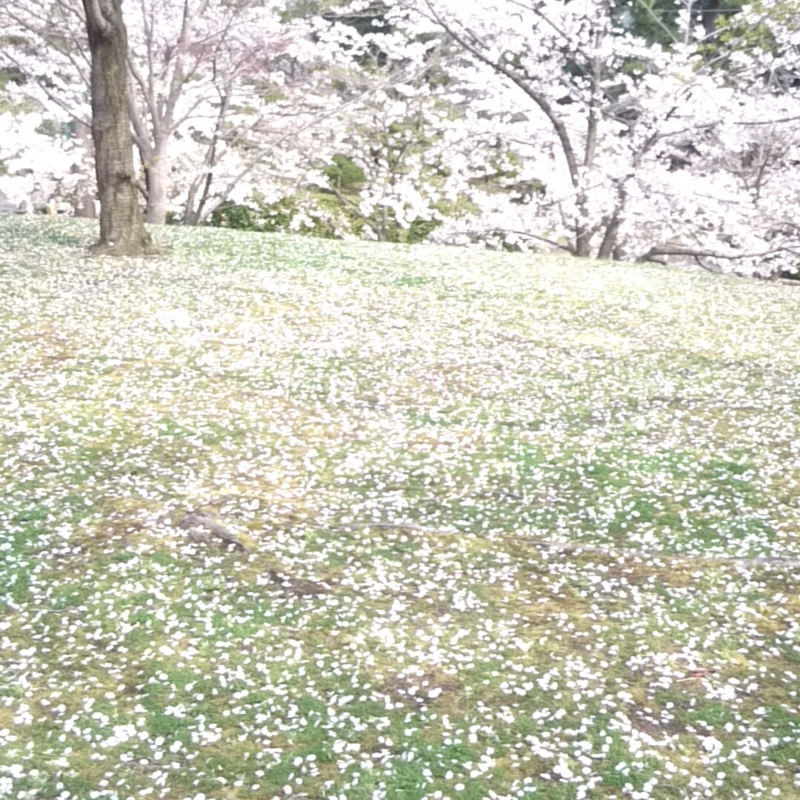 f:id:youkorori:20180412212851j:plain f:id:youkorori:20180412212851j:plain