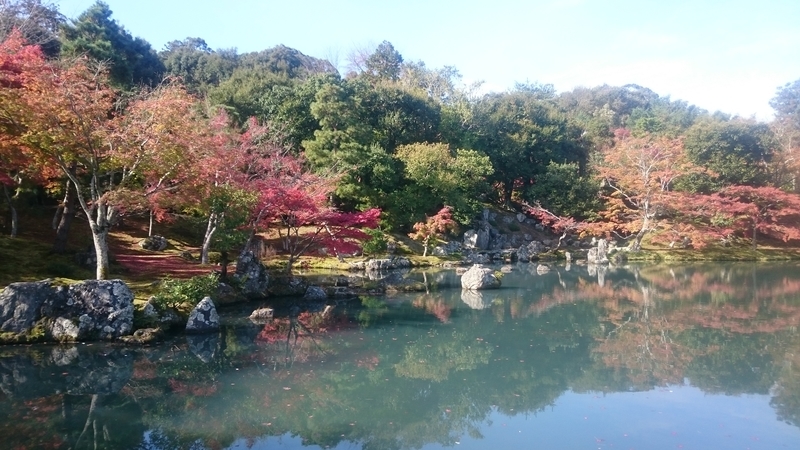 f:id:youkorori:20181129045226j:plain f:id:youkorori:20181129045226j:plain