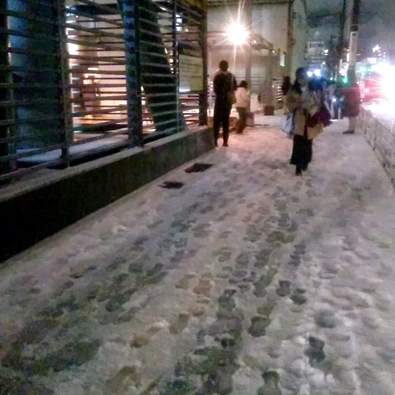 f:id:youkorori:20190128222453j:plain f:id:youkorori:20190128222453j:plain