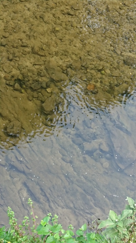 f:id:youkorori:20190812073736j:plain f:id:youkorori:20190812073736j:plain