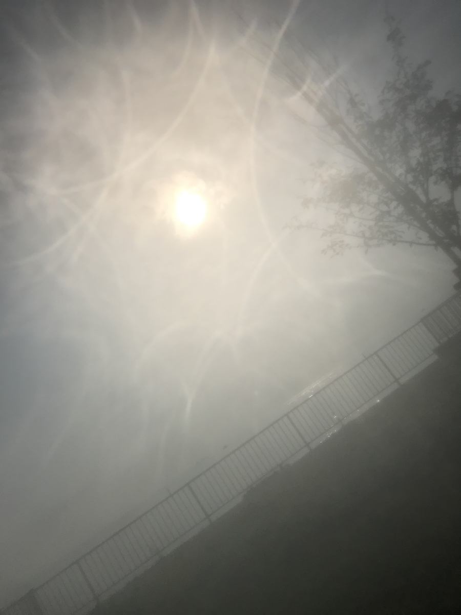f:id:youlin2011:20190904233923j:plain