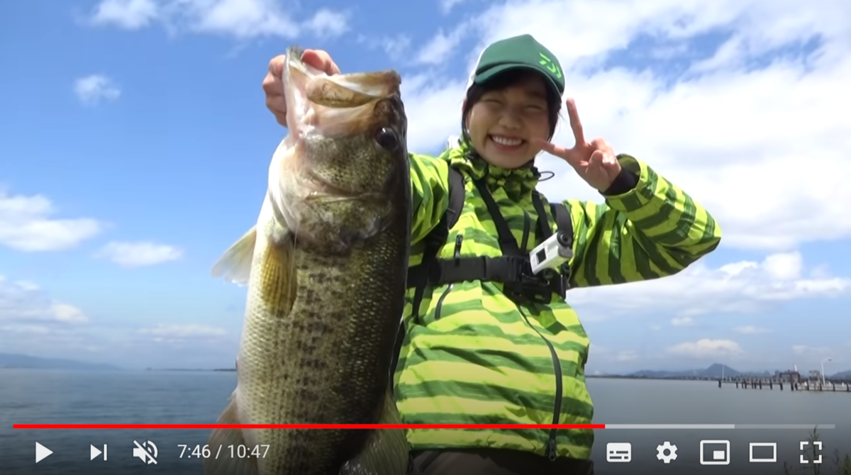 f:id:youlin2011:20200423224228p:plain