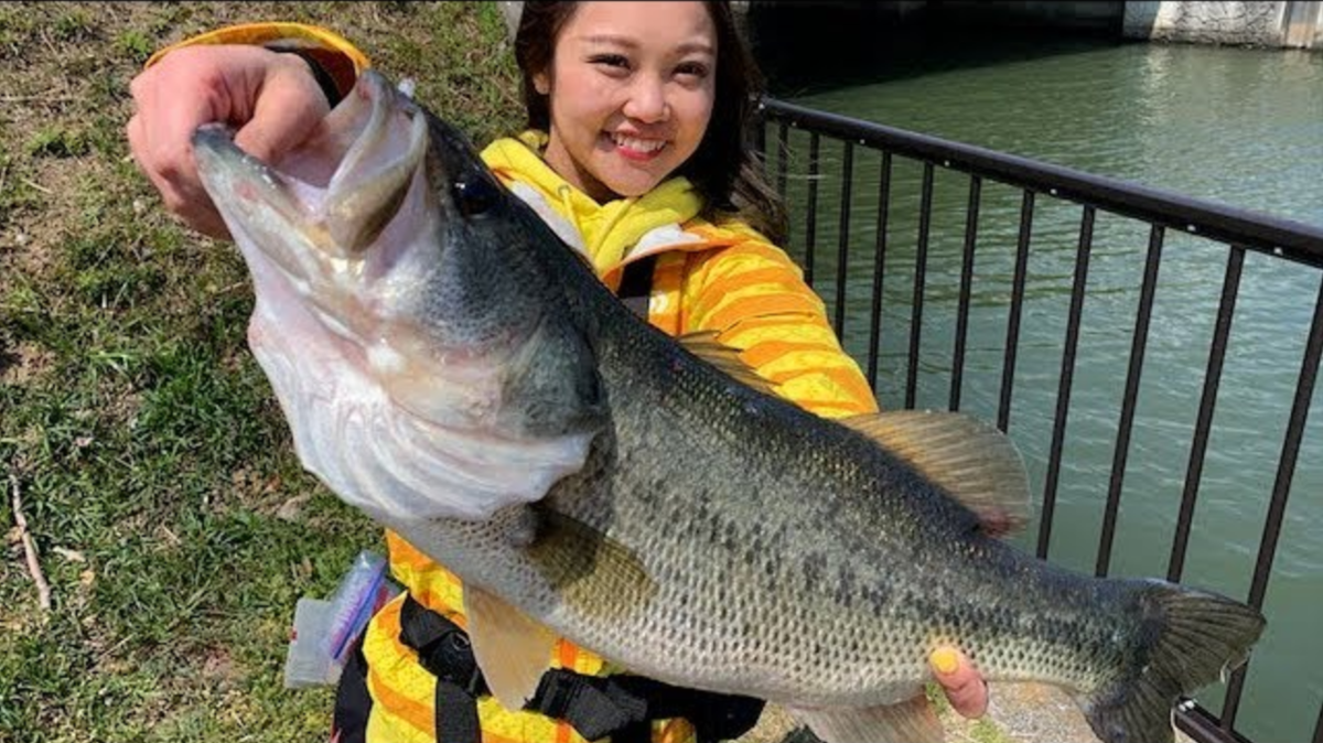 f:id:youlin2011:20200423224615p:plain