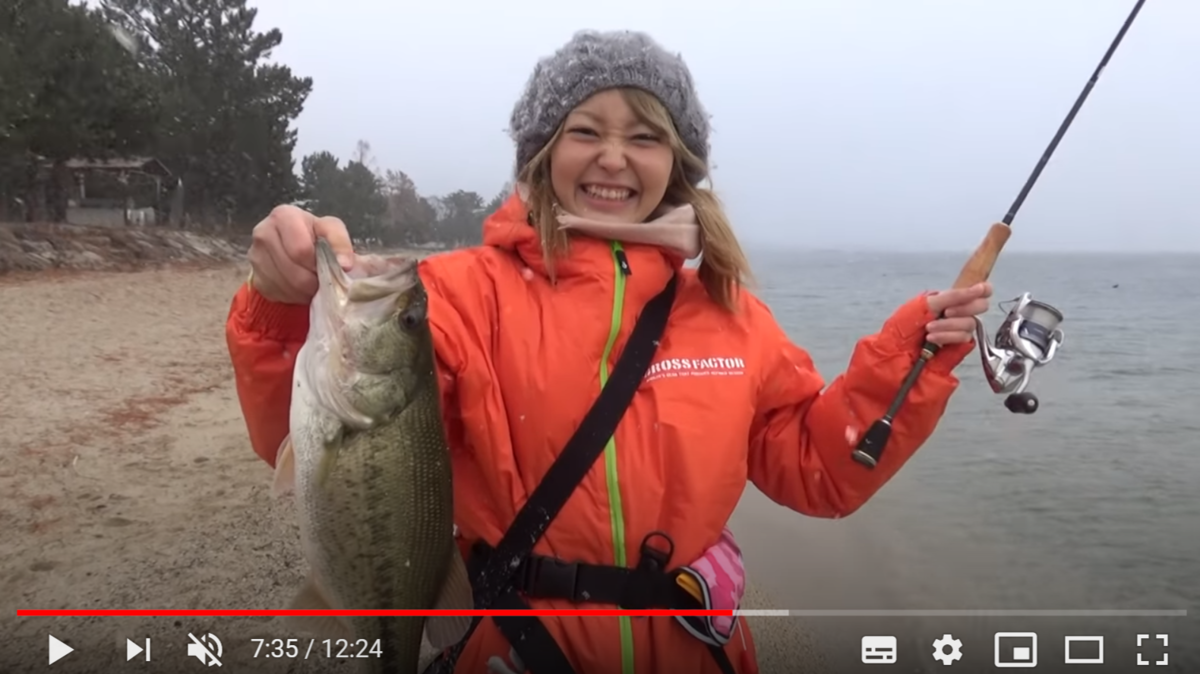 f:id:youlin2011:20200423225511p:plain