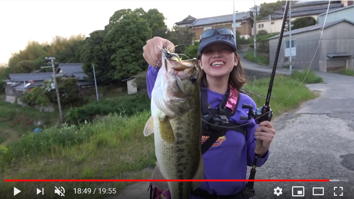 f:id:youlin2011:20200423230945p:plain