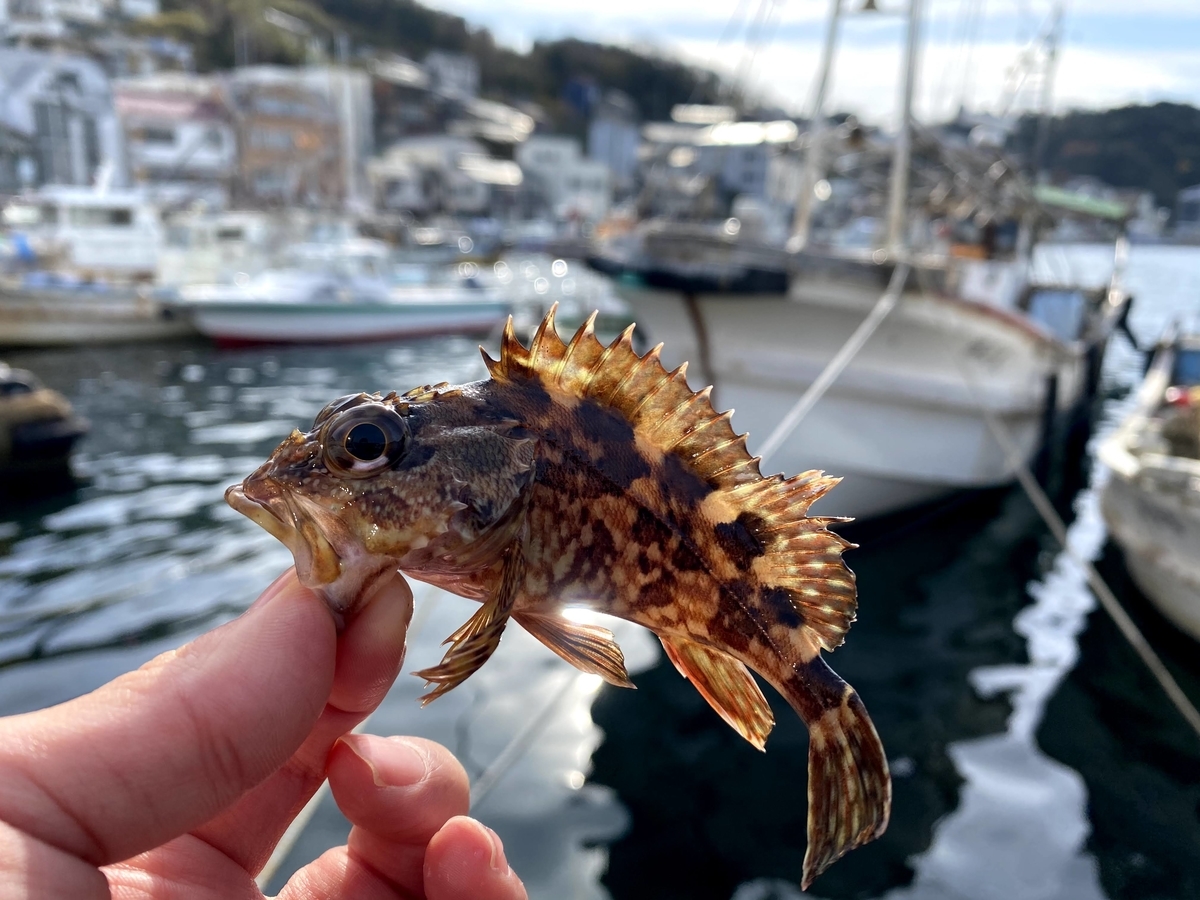 f:id:youlin2011:20210209225011j:plain