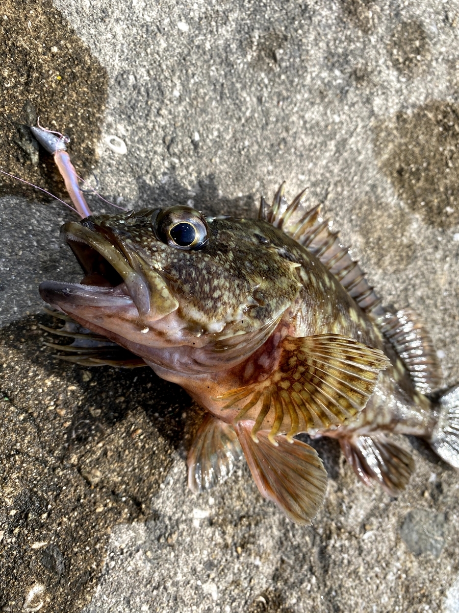 f:id:youlin2011:20210209225233j:plain