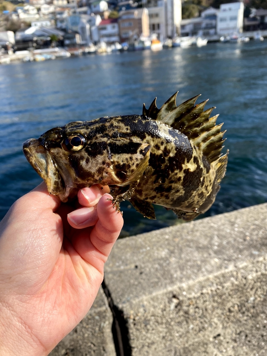 f:id:youlin2011:20210209225652j:plain