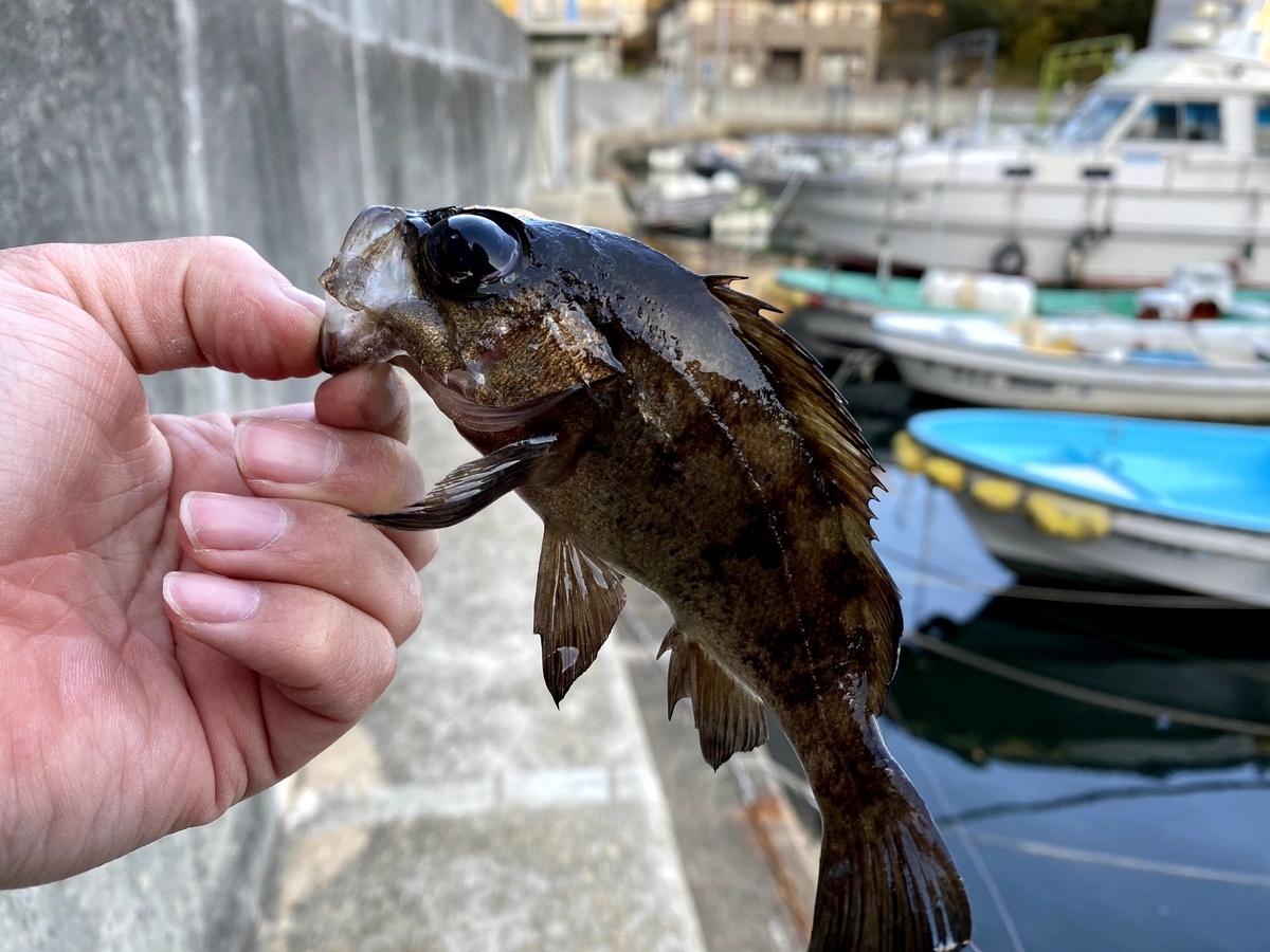 f:id:youlin2011:20210209230048j:plain