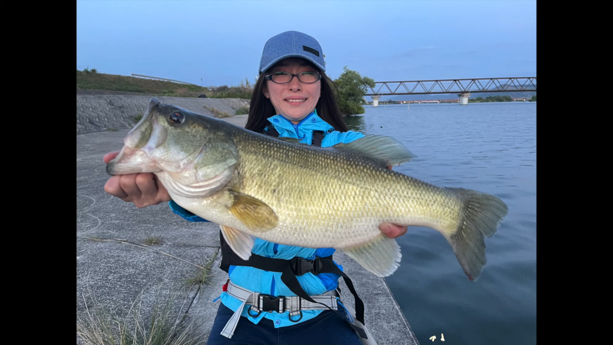 f:id:youlin2011:20210605211140p:plain