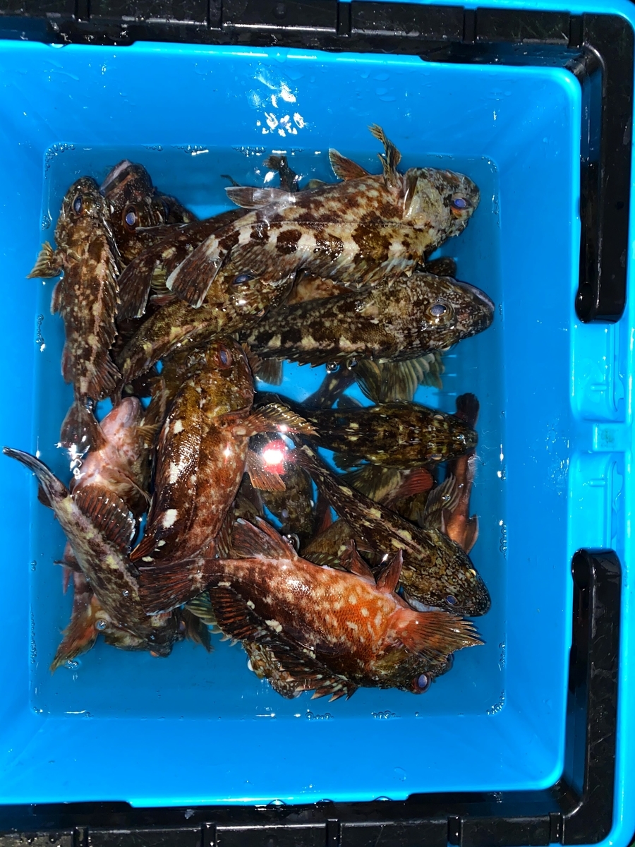 f:id:youlin2011:20210703200913j:plain