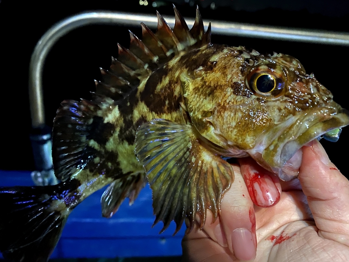 f:id:youlin2011:20210703201229j:plain