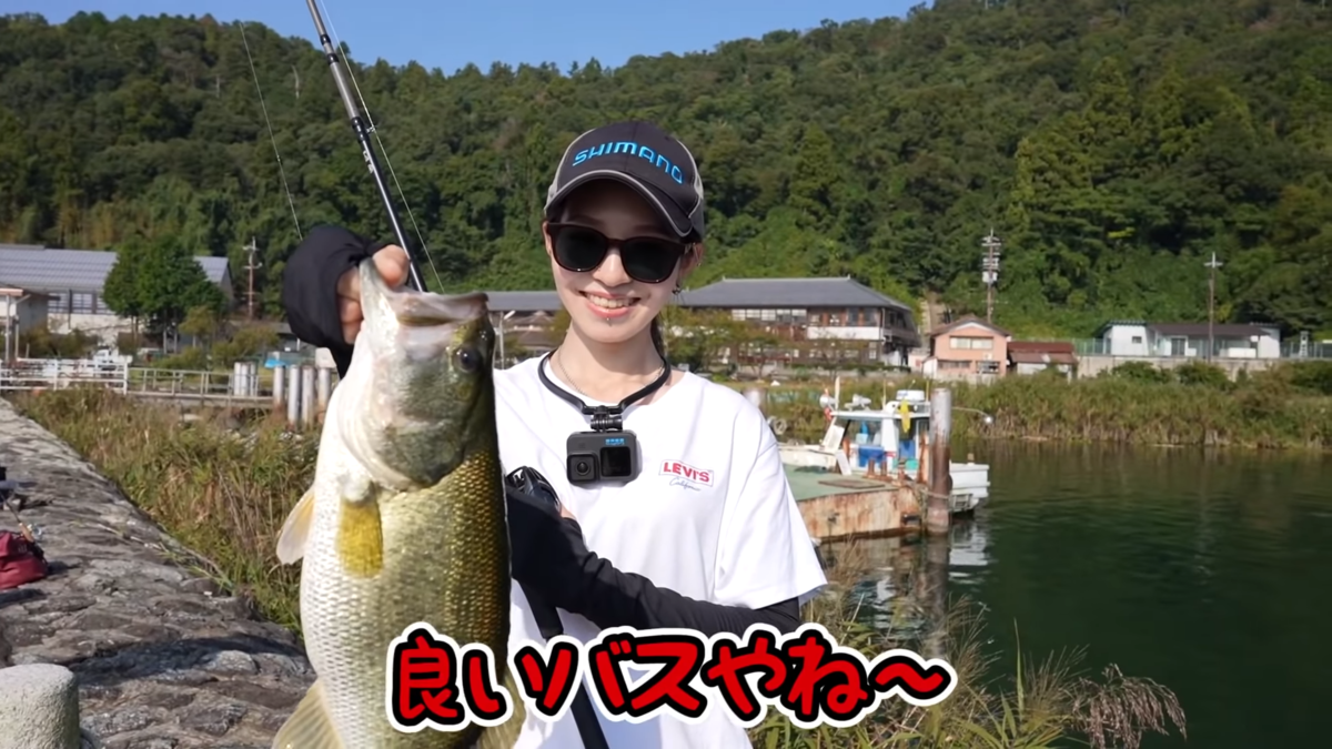 f:id:youlin2011:20211101195034p:plain