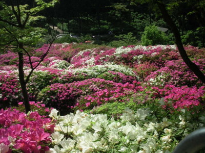 f:id:youmor:20090509150712j:image
