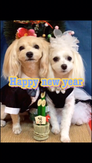 f:id:younosora:20200113001439p:plain f:id:younosora:20200113001439p:plain
