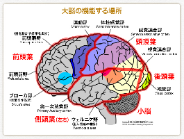 f:id:younosuke1250:20190209000155p:plain f:id:younosuke1250:20190209000155p:plain
