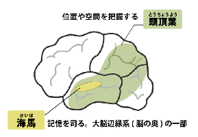 f:id:younosuke1250:20190211221635p:plain f:id:younosuke1250:20190211221635p:plain