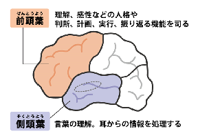 f:id:younosuke1250:20190211223512p:plain f:id:younosuke1250:20190211223512p:plain