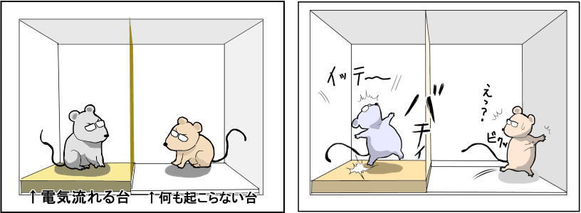 f:id:younosuke1250:20190216224743p:plain f:id:younosuke1250:20190216224743p:plain
