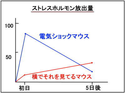 f:id:younosuke1250:20190216225718p:plain f:id:younosuke1250:20190216225718p:plain