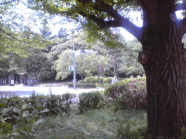 f:id:youpimm:20110504132528j:image:w360:left