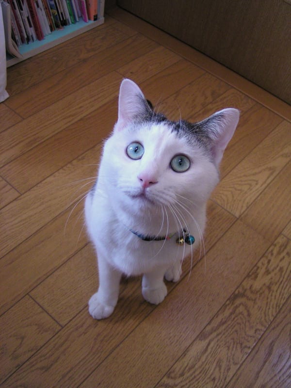 Pc070525 Pc070525
