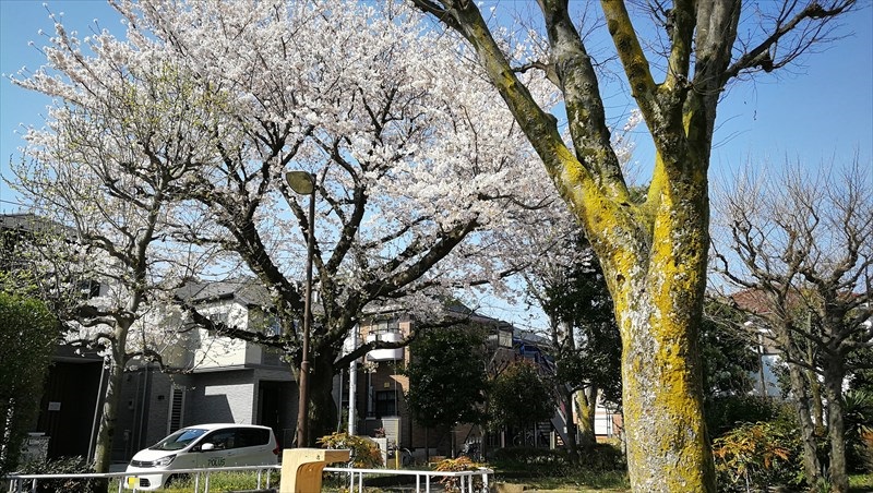 f:id:your-lie-in-april:20190412214006j:plain f:id:your-lie-in-april:20190412214006j:plain