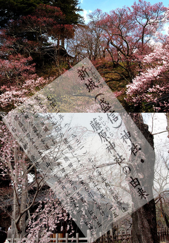 イメージ 2